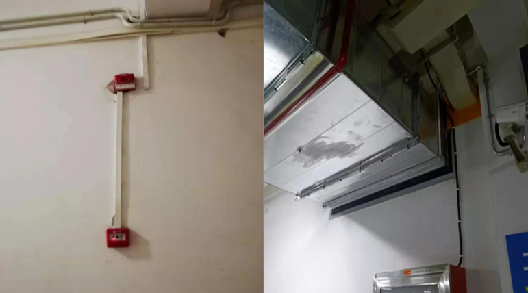 1740036484439213.png image.png